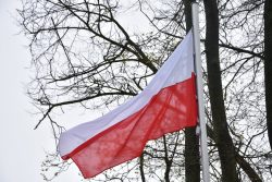 Flaga Polski na maszcie. W tle drzewa