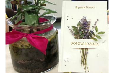 Dopowiedzenia