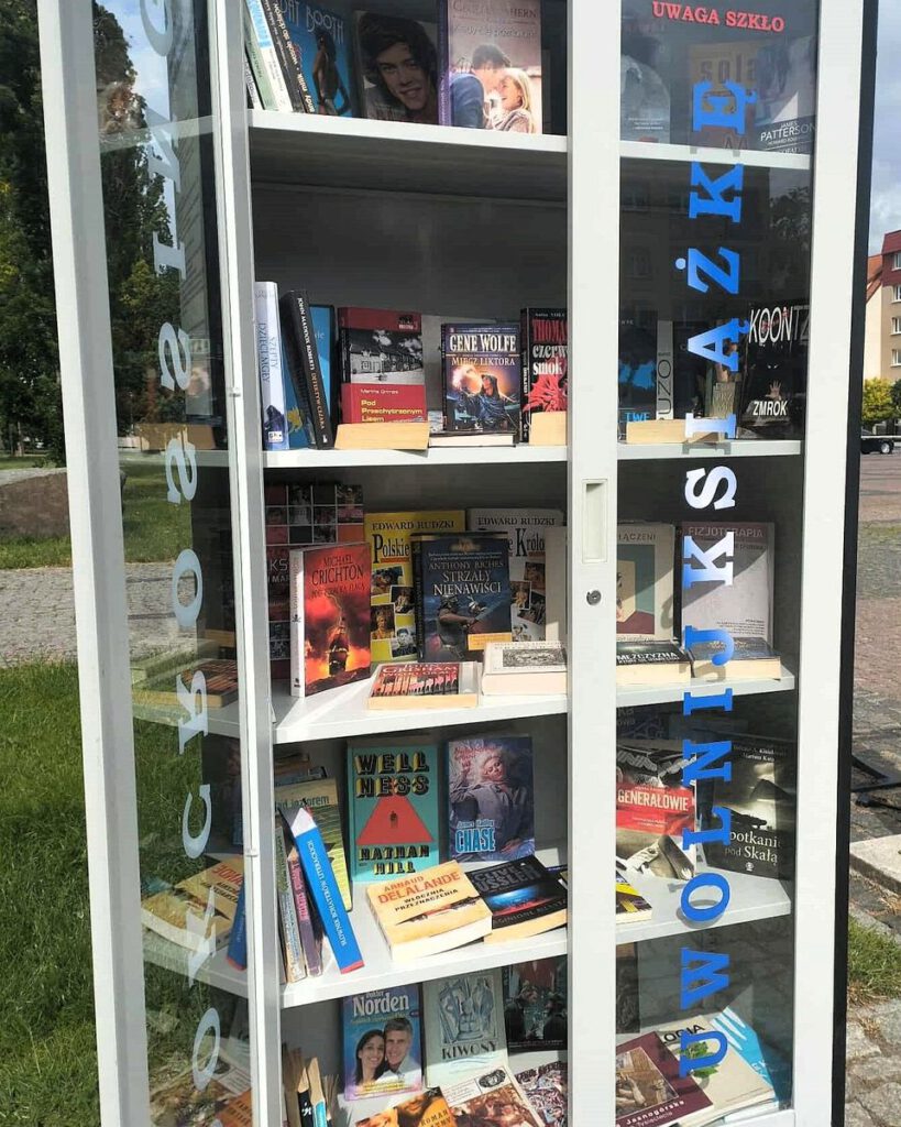 Książki ułożone w szafie