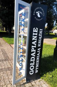 Na zdjęciu widzimy szafę z książkami.