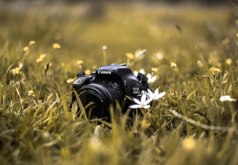 Konkurs fotograficzny