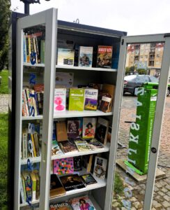 Na zdjęciu widzimy szafę z książkami stojącą w parku.