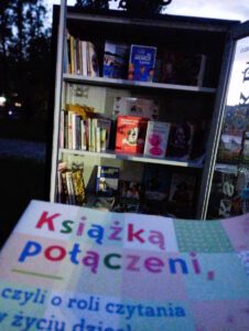 Na zdjęciu widzimy szafę z książkami stojącą w parku.