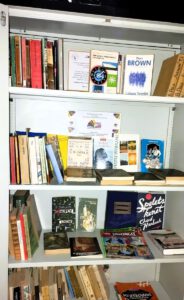 Na zdjęciu widzimy książki ułożone na półkach w szafie.