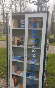 Na zdjęciu widzimy książki ułożone na półkach w szafie.