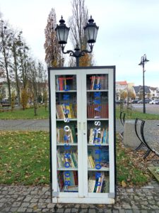 Całokształt szafki bookcrossingowej z zamkniętymi podwójnymi szklanymi drzwiami, stojącej na bruku w miejskim parku w ciągu dnia. Na górze zdobi ją latarnia uliczna. Książki czekają na nowego właściciela, a obok leżą jesienne liście.