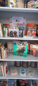 Na zdjęciu widoczne półki z książkami