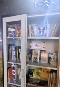 Na zdjęciu widzimy książki ułożone na półkach.