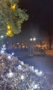 Na zdjęciu widzimy święcące lampki choinkowe, a w tle szafa bookcrossingowa.