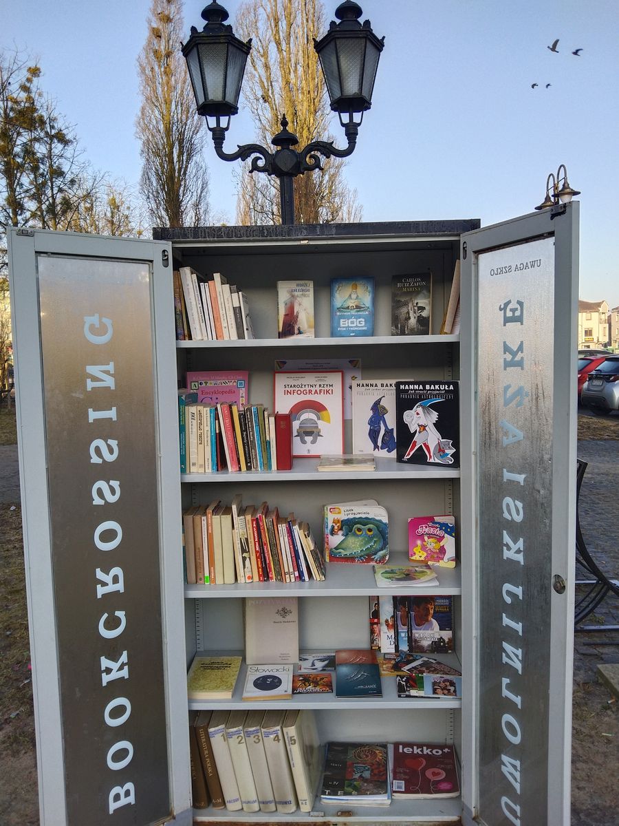 Otwarta szafa z książkami w parku.