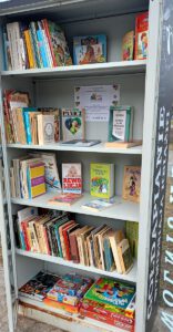 Szafa wypełniona książkami.