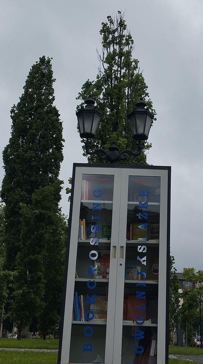 Deszcz czy słońce? Czas na książkę!